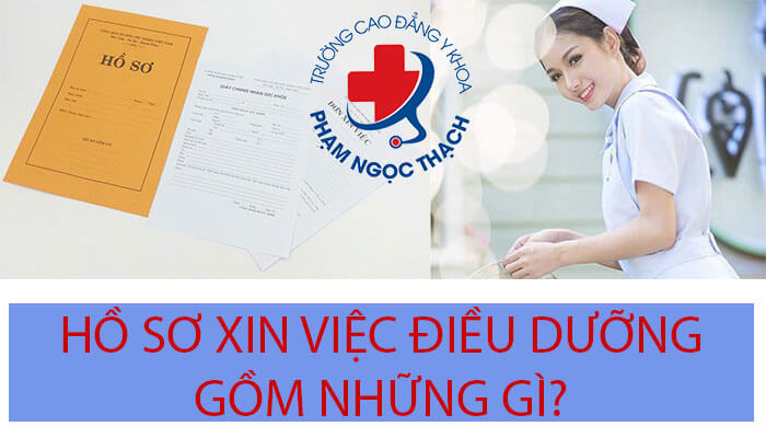 Hồ sơ xin việc ngành Điều dưỡng mới ra trường cần giấy tờ gì?