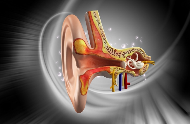 Nguyên nhân, triệu chứng, cách điều trị rối loạn tiền đình ốc tai