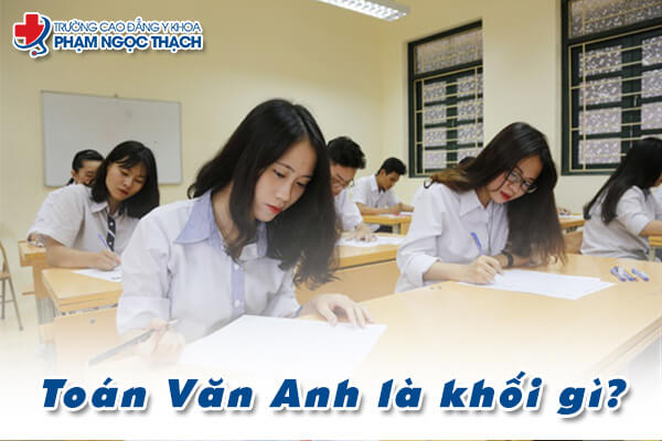 Toán Văn Anh là khối gì?