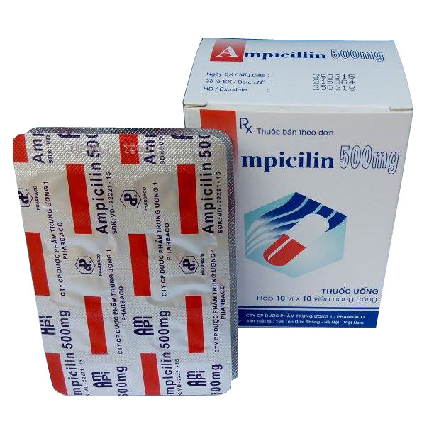 Thuốc Ampicillin là thuốc gì?