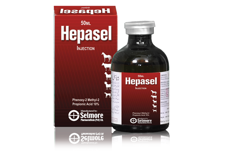 Tổng hợp những thông tin liên quan đến thuốc Hepasel 1