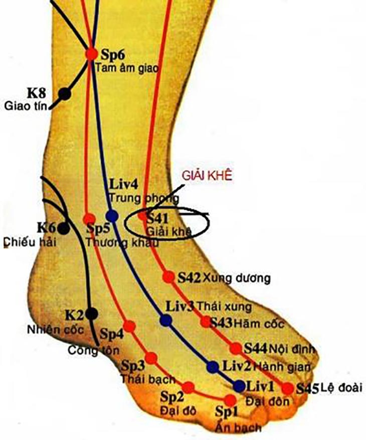 Hình ảnh các huyệt đạo trên bàn chân