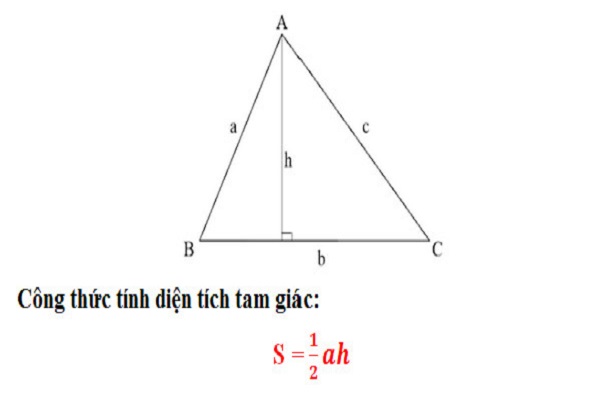 Tam giác là hình học cơ bản trong toán học