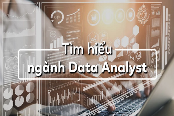 Data Analyst là chuyên viên phân tích dữ liệu