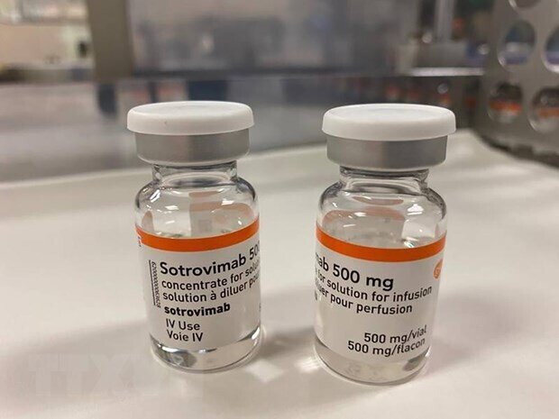 Liệu pháp điều trị kháng thể đơn dòng Sotrovimab do công ty GlaxoSmithKline
