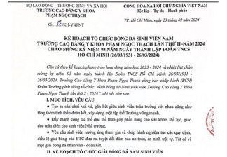 ke-hoach-to-chuc-giai-bong-da-nam-chao-mung-ngay-thanh-lap-doan-tncs-hcm-26031931-26032024