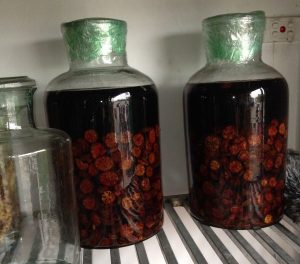 Tổng hợp cách ngâm rượu hột an toàn, tốt cho sức khỏe