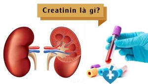 Tổng hợp  những thông tin quan trọng về xét nghiệm creatinin