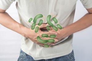 Vi khuẩn Salmonella gây bệnh gì? Có nguy hiểm không?