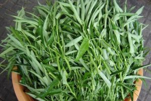 Ăn rau muống có tốt không? Rau muống có làm mất sữa mẹ không?
