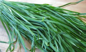 Cây hẹ có tác dụng gì? Một số bài thuốc chữa bệnh từ cây hẹ