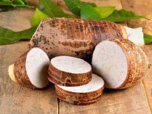 Khoai môn có tốt không? Ăn khoai môn có béo không?