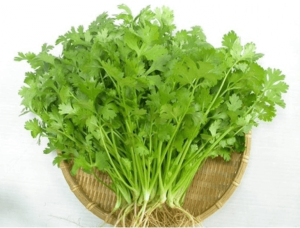 Rau mùi có tác dụng gì? Rau mùi chữa bệnh gì?