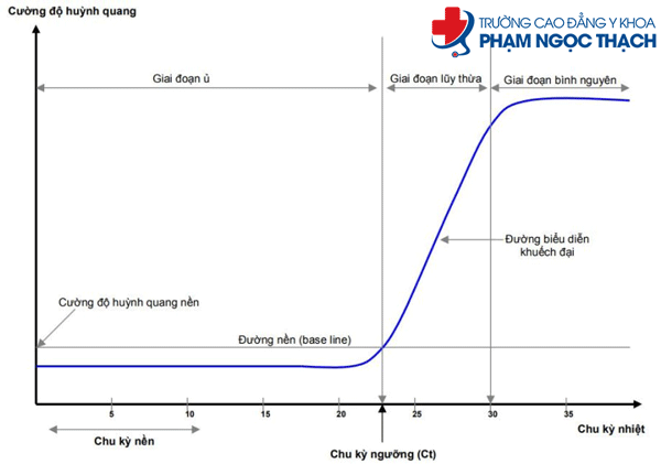 Chỉ số CT bao nhi&ecirc;u l&agrave; &acirc;m t&iacute;nh an to&agrave;n