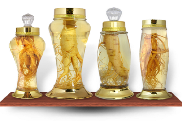 Cách ngâm rượu sâm Ngọc Linh đúng chuẩn bài