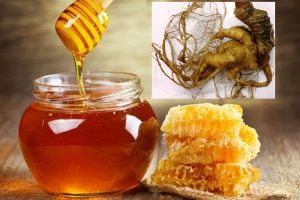 Sâm Ngọc Linh ngâm mật ong có tác dụng gì? Cách làm đúng chuẩn