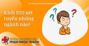 Khối D15 gồm những môn nào? Nên chọn trường và ngành nào?