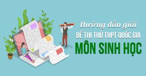 Đề thi thử THPT Quốc Gia môn Sinh năm 2022 có lời giải