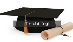 Tín chỉ là gì? Ưu và Nhược điểm khi học theo tín chỉ là gì?