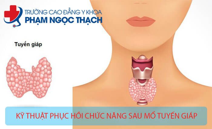 Học Kỹ thuật Phục hồi chức năng sau mổ tuyến gi&aacute;p ở đ&acirc;u?