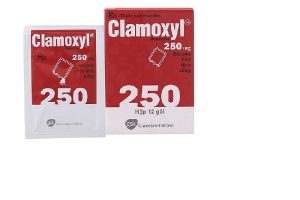 Thuốc Clamoxyl 250 là thuốc gì? Cách dùng an toàn, hiệu quả