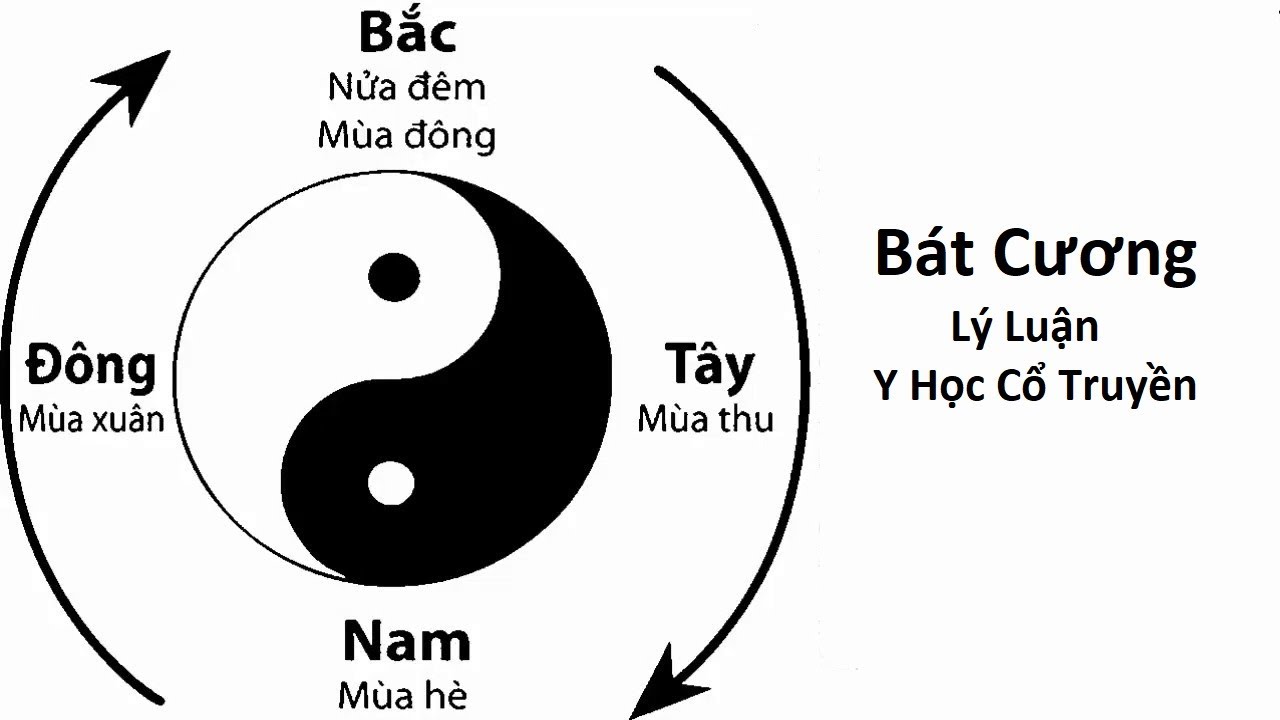 B&aacute;t cương l&agrave; g&igrave;?
