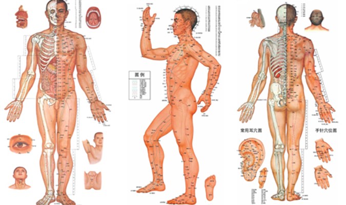 Học thuyết kinh lạc trong Y học cổ truyền