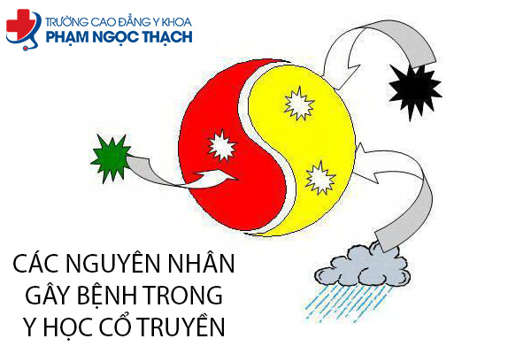 Các nguyên nhân gây bệnh trong Y học cổ truyền