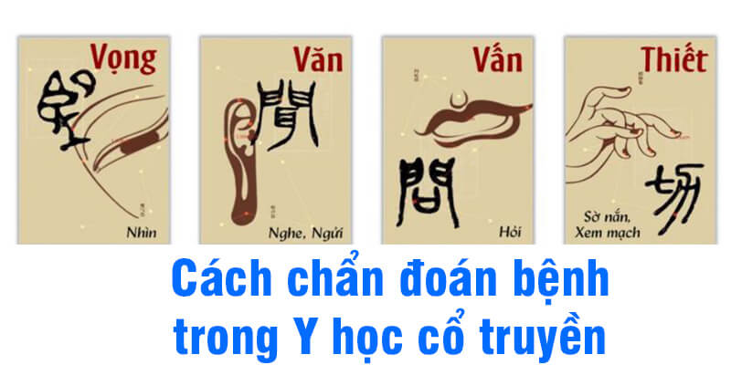 Chấn đoán bệnh theo Tứ chẩn trong Y học cổ truyền là như thế nào?