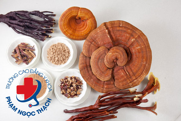 Những lưu &yacute; khi sử dụng dược liệu