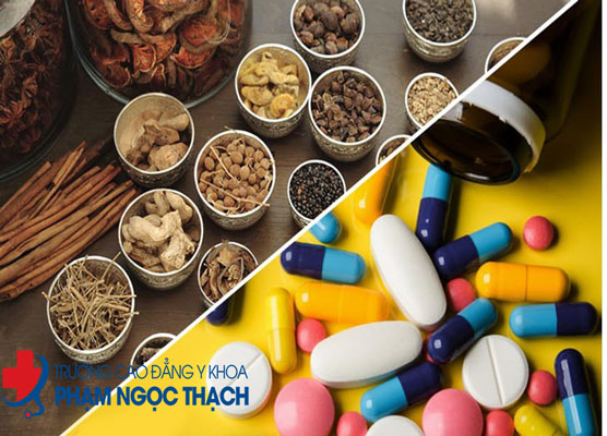 Dược liệu l&agrave; g&igrave;?