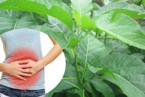 Thuốc dạ dày Phosphalugel: Cách dùng và liều dùng hiệu quả