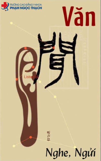 Phương pháp chẩn đoán bệnh của Văn chẩn (nghe – ngửi)