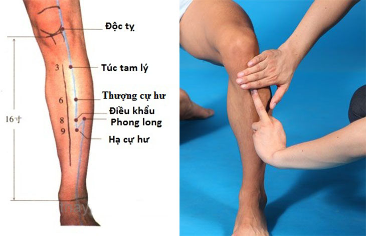 Bịđau dạ d&agrave;y, ti&ecirc;u h&oacute;a k&eacute;m, vi&ecirc;m ruột, n&ocirc;n mửa, thần kinh suy nhược... h&atilde;y bấm huyệt t&uacute;c tam l&yacute;