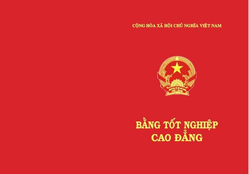 Bằng Cao đẳng Dược