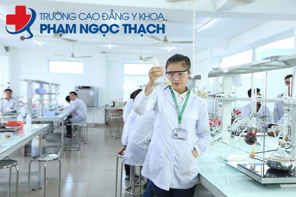 Dược sĩ c&oacute; thể l&agrave;m nhiều c&ocirc;ng việc kh&aacute;c nhau t&ugrave;y thuộc v&agrave;o khả năng v&agrave; sở th&iacute;ch
