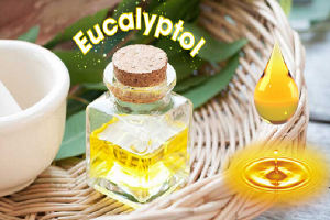 Eucalyptol là thuốc gì? Hướng dẫn cách dùng, liều dùng an toàn