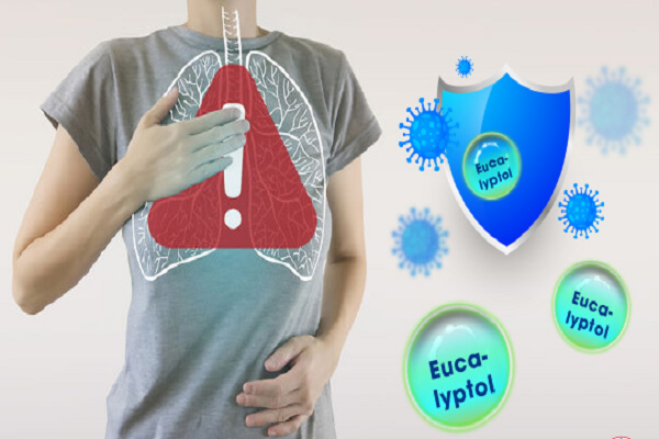 Dùng thuốc ho Eucalyptol theo chỉ định của bác sĩ để mang lại hiệu quả tốt nhất