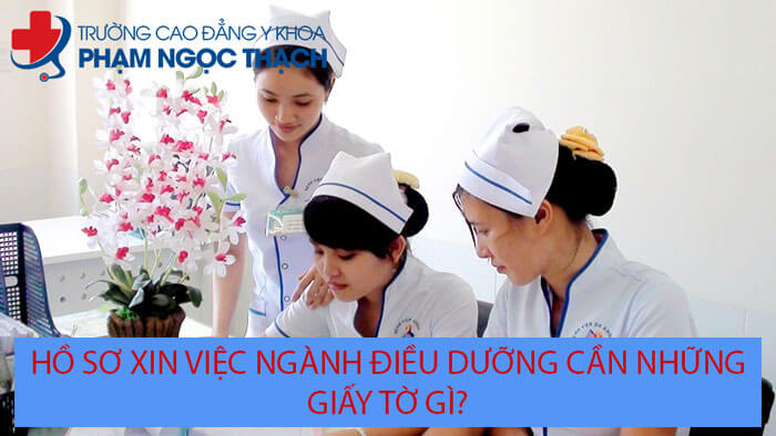 Hồ sơ xin việc ng&agrave;nh Điều dưỡng cần những giấy tờ g&igrave;? 2
