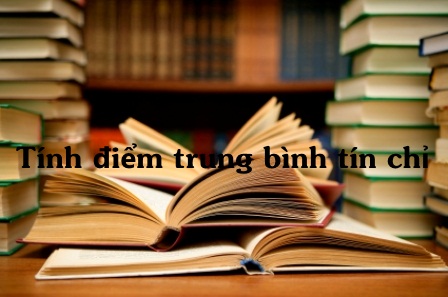 Điểm trung b&igrave;nh t&iacute;ch lũy l&agrave; g&igrave;?