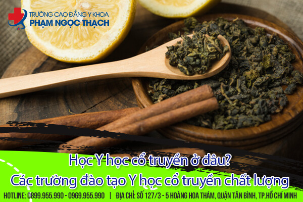 Học Y học cổ truyền ở đ&acirc;u? C&aacute;c trường đ&agrave;o tạo chất lượng