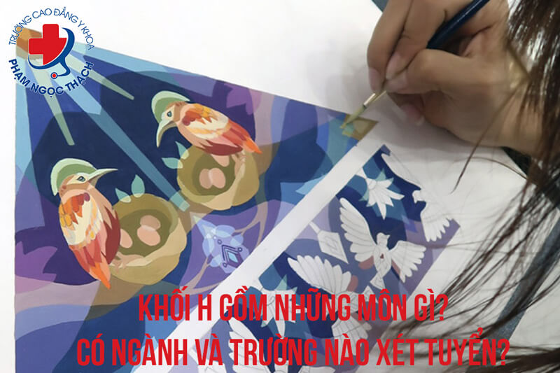 Khối H gồm những môn nào?