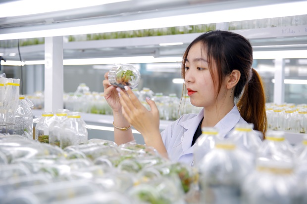 Ng&agrave;nh C&ocirc;ng nghệ sinh học lương bao nhi&ecirc;u?