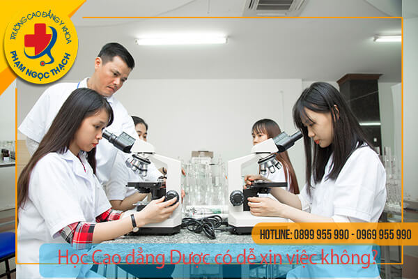 Học Cao đẳng Dược dễ xin việc không?
