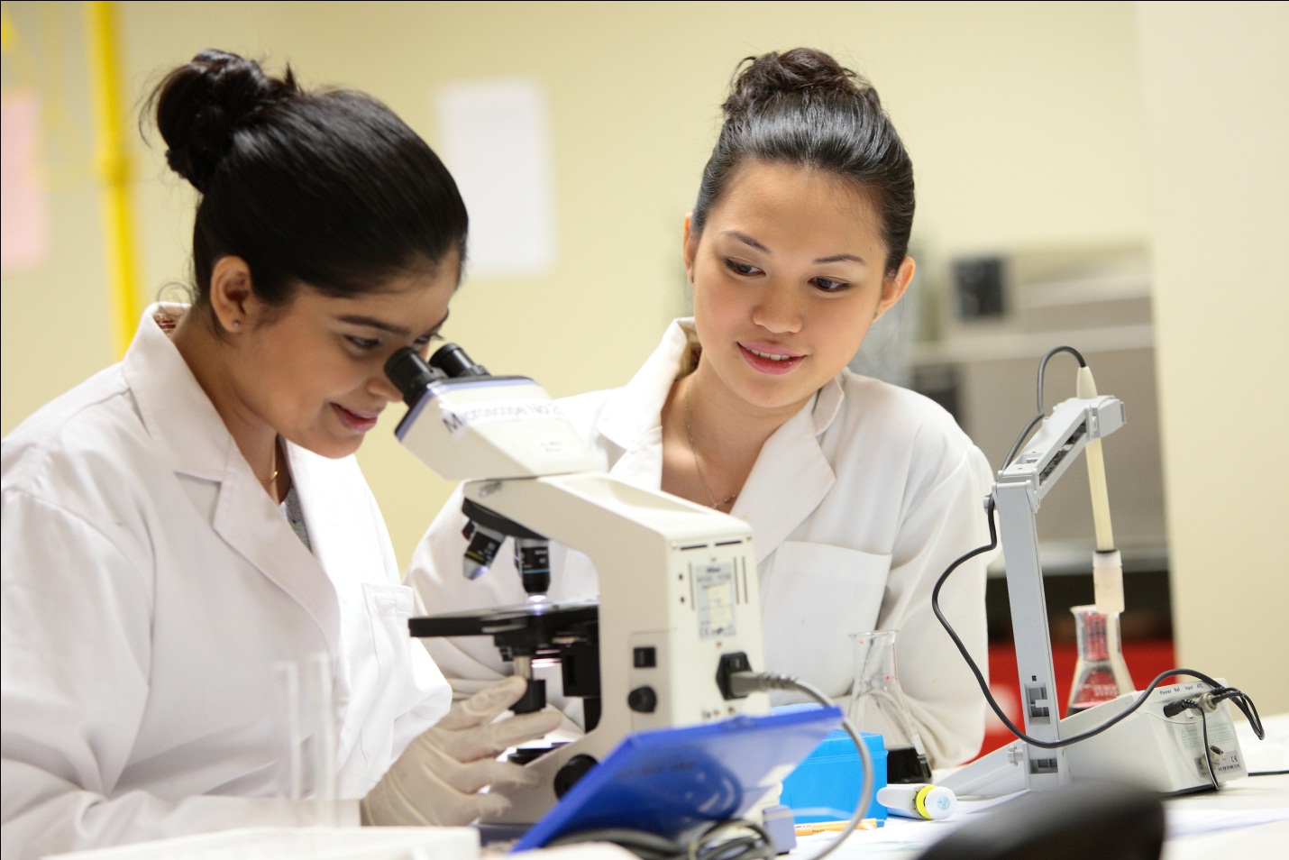 2. Chương tr&igrave;nh đ&agrave;o tạo ng&agrave;nh Kỹ thuật x&eacute;t nghiệm y học