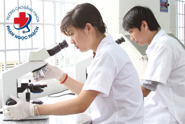 C&oacute; n&ecirc;n học ng&agrave;nh Dược hay kh&ocirc;ng?