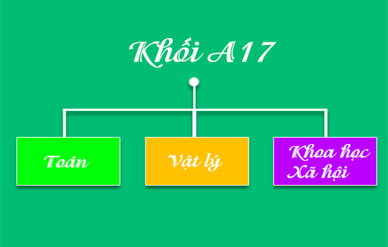 khối A17 gồm những m&ocirc;n n&agrave;o
