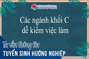 Các Ngành Nghề Khối C Dễ Xin Việc Hiện Nay