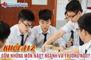 Khối A12 gồm những môn nào? Các ngành và trường nào?