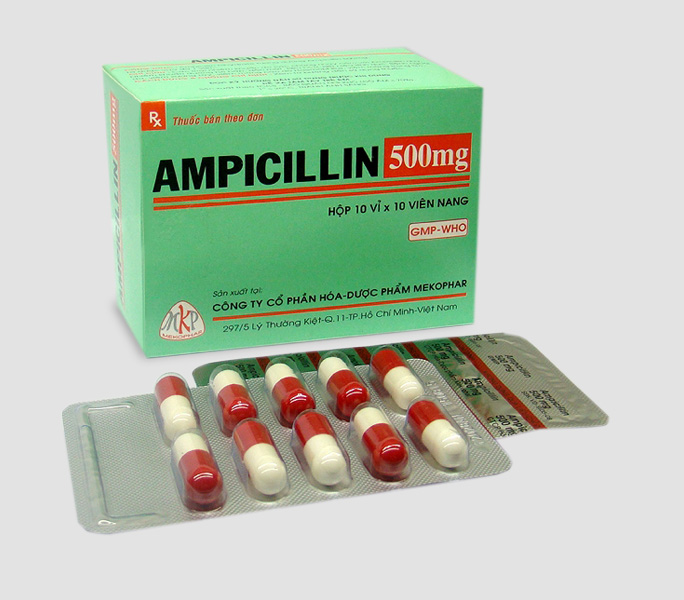 N&ecirc;n uống&nbsp;Ampicillin với nhiều nước để thuốc nhanh ch&oacute;ng thẩm thấu v&agrave;o cơ thể